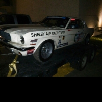 65 Shelby #398